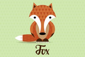 fox-illustrazione