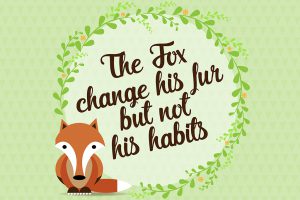 fox-proverbio-illustrazione
