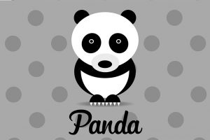panda-grigio-illustrazione