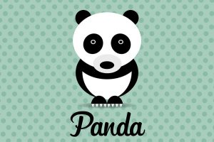 panda-illustrazione